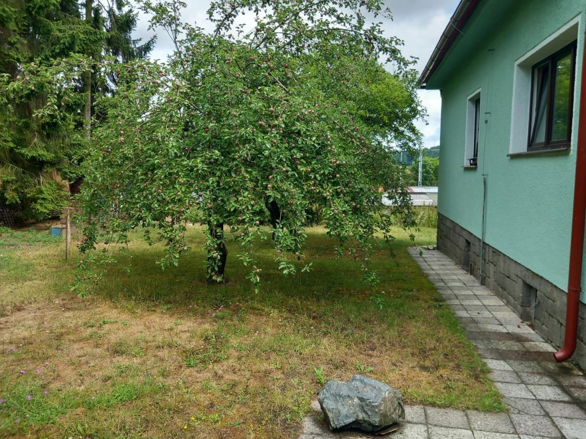 Apartment In The City Of Pilsen Bozkov Kültér fotó